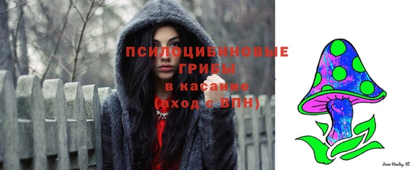 индика Козельск