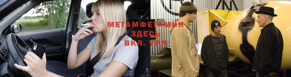 индика Козельск