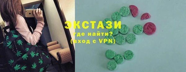индика Козельск