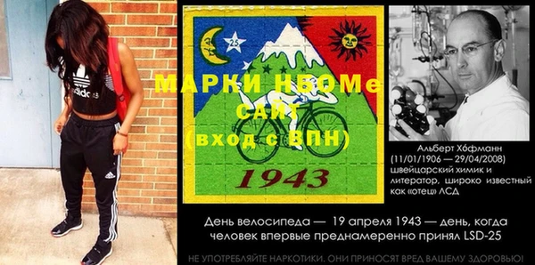индика Козельск