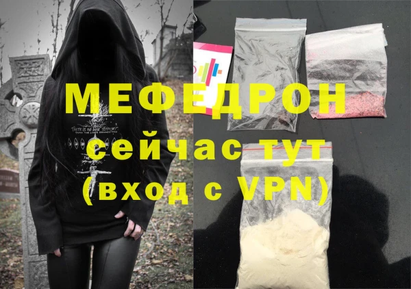 индика Козельск