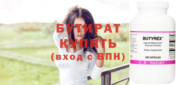 индика Козельск