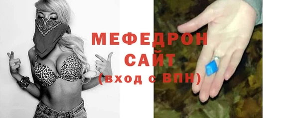 индика Козельск