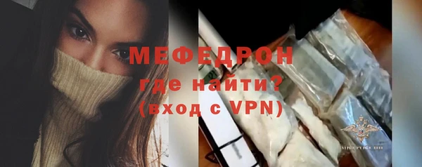индика Козельск