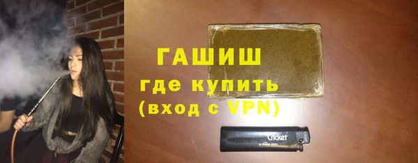 индика Козельск