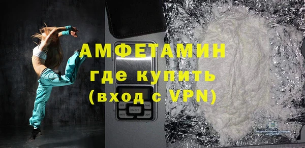 индика Козельск