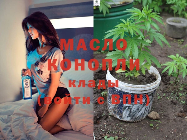 индика Козельск