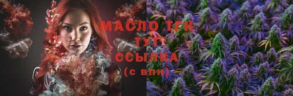индика Козельск