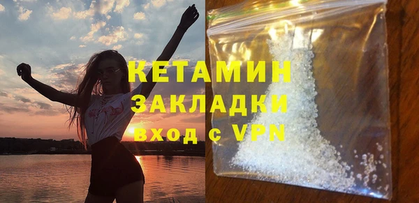 индика Козельск