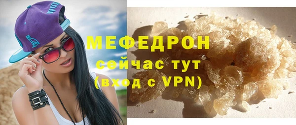 индика Козельск