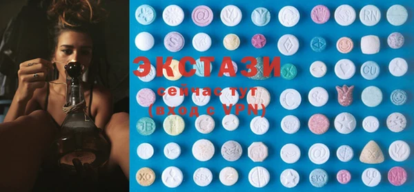 индика Козельск