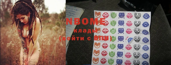 индика Козельск