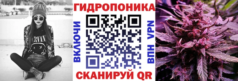Конопля план  Купить закладки  Шлиссельбург 